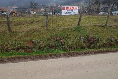 Teren de 1800 mp, în Căinelu de Sus - 1