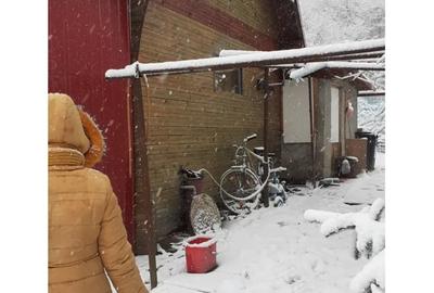 Teren în Poiana Sărată - 4