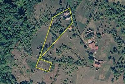 Casă cu 2 camere cu Teren 2900 Mp în Ludu