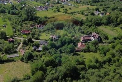 Casă individuală cu 4 camere cu Teren 3765 Mp în Mihăești - 19