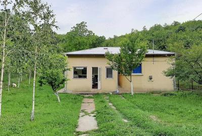 Casă cu 4 camere cu Teren 2134 Mp în Răzvad