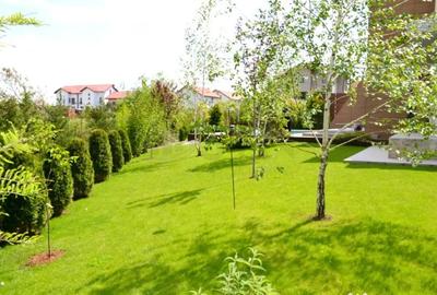 Casă cu 7 camere cu Teren 859 Mp în Pipera - 1