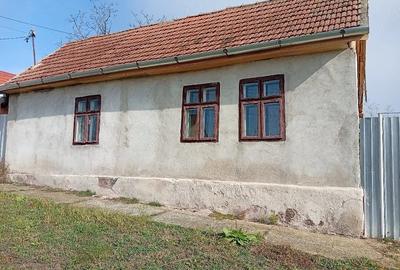 Casă cu 2 camere cu Teren 3000 Mp în Șoșdea - 2
