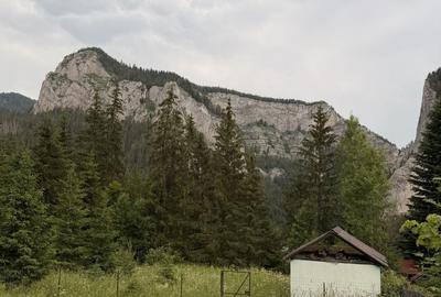 Teren de 817 mp, în Lacu Roșu - 1