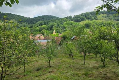Casă cu 2 camere în Șalcău - 5