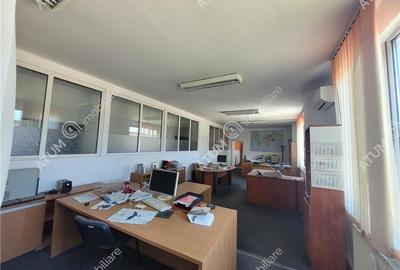 Spațiu industrial, de 1,425 mp, în Industrial Vest - 8