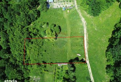 Teren de 1500 mp, în Tulnici - 2
