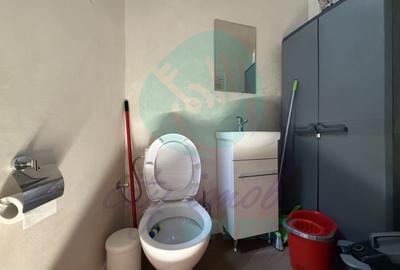 Apartament cu 2 camere decomandat, mobilat în Armeneasca - 10