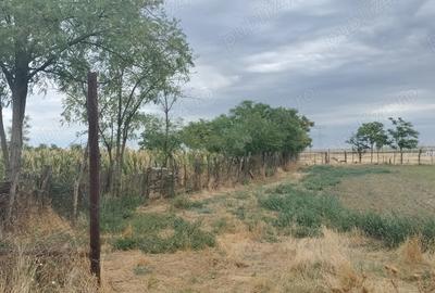 Casă cu Teren 2538 Mp în Smirna