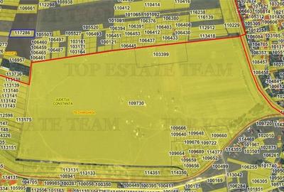 Teren Construcții extravilan de 5000 mp, în Agigea - 3