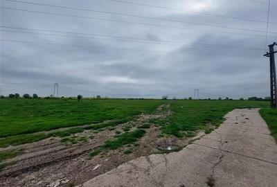 Teren agricol intravilan de 80000 mp, în Grădiște - 12