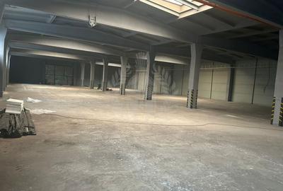 Spațiu industrial, de 4,100 mp, în B-dul București
