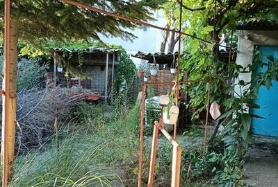 Casă cu 3 camere cu Teren 500 Mp în Central - 1