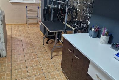 Spațiu comercial, de 30 mp, în Plantelor - 2