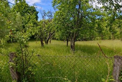Teren de 7000 mp, în Tănăsești - 3