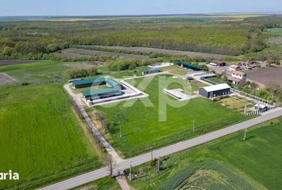 Teren de 105000 mp, în Singureni - 15