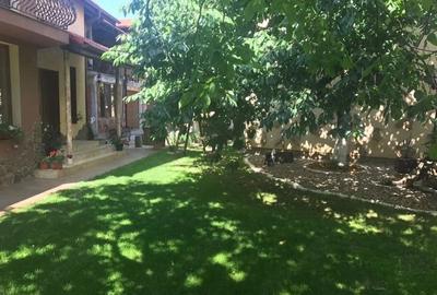 Casă cu Teren 1300 Mp în Lucian Blaga - 3