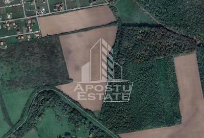Teren de 10000 mp, în Moșnița Nouă