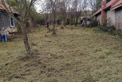 Casă cu Teren 590 Mp în Rediu - 2
