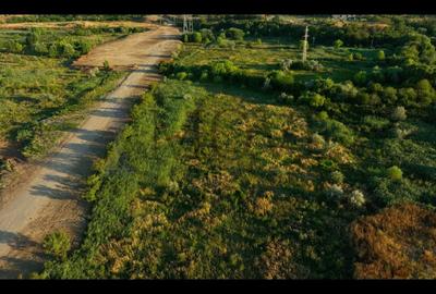 Teren agricol intravilan de 5000 mp, în Sud - 6