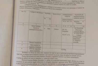 Teren de 5000 mp, în Berindești