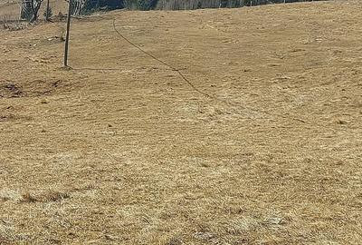 Teren de 7600 mp, în Horea