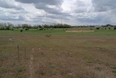 Teren de 2300 mp, în Calea București - 4