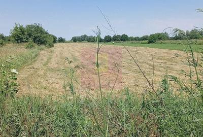 Teren de 665 mp, în Săbăreni