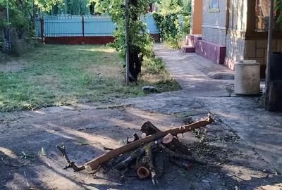 Casă cu 4 camere cu Teren 2500 Mp în Brădeanu - 3