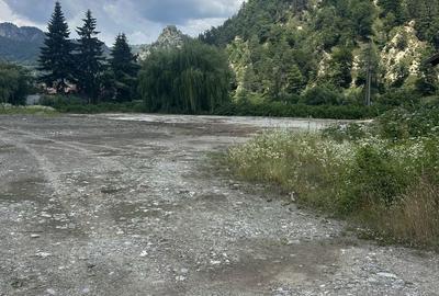 Spațiu comercial, în Proieni - 2