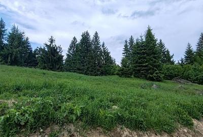 Spațiu comercial, în Colibița