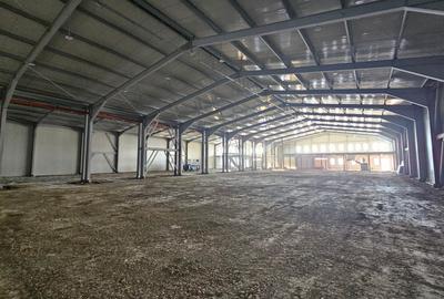 Spațiu industrial, de 1,300 mp, în Balotești - 4