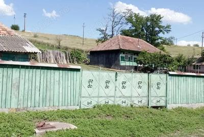 Casă cu Teren 4634 Mp în Gugești - 2