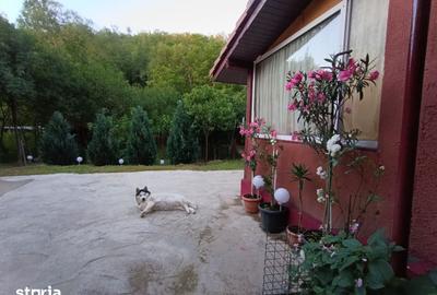 Casă cu 4 camere cu Teren 705 Mp în Copăcel - 16