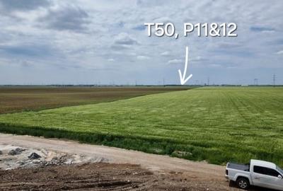Teren agricol extravilan de 33100 mp, în Glina - 1