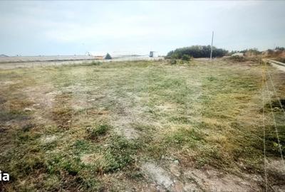 Teren de 5000 mp, în Bărcănești - 3