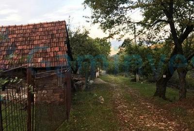 Teren agricol intravilan de 1400 mp, în Șuncuiuș - 9