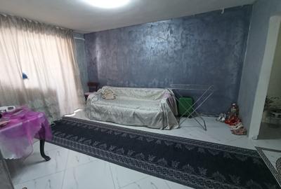 Apartament cu 2 camere semidecomandat în Podu Roș - 2