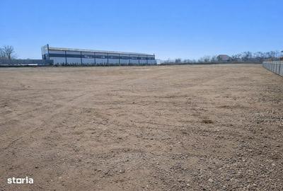 Teren de 4000 mp, în Letea Veche - 2