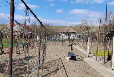 Casă cu 5 camere cu Teren 830 Mp în Central - 7