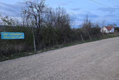 Teren de 1000 mp, în Dealuri Oradea - 1