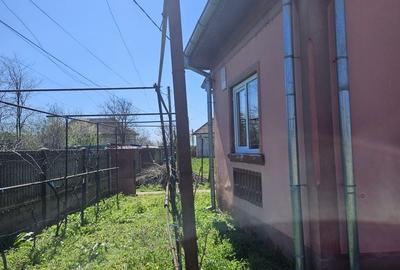 Casă cu 4 camere în Goicea - 6