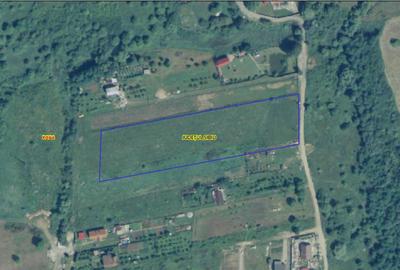 Teren Construcții de 8000 mp, în Daia Nouă - 6