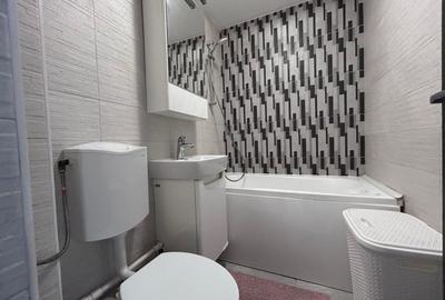 Apartament cu 2 camere decomandat, mobilat în Viziru 1 - 9