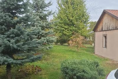 Casă cu 4 camere cu Teren 1950 Mp în Smârdan - 2