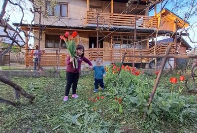 Casă cu 4 camere în Central - 3