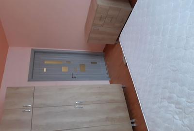 Apartament cu 2 camere decomandat în Drumul Carului - 2