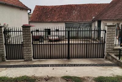 Casă cu Teren 8000 Mp în Turmaș - 4