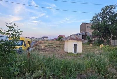 Teren de 4965 mp, în Jilava - 3