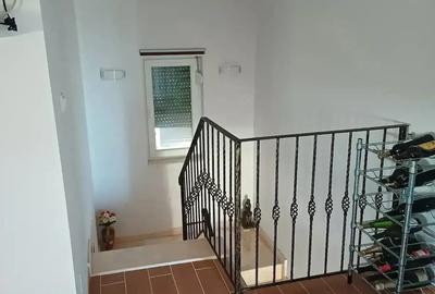 Casă cu Teren 1170 Mp în Cionchești - 2